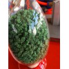 彩色EPDM顆粒擠出機(jī)_EPDM顆粒擠出機(jī)